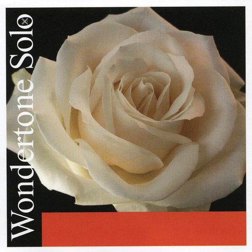 Pirastro 410021 Wondertone Solo Cordes de violon Mi-Boule Moyen Sachet 4/4